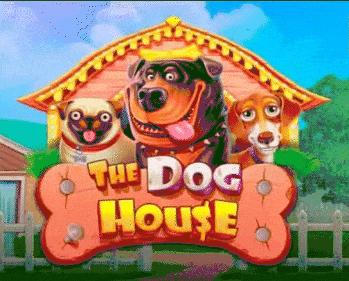 Play The Dog House in Patrick Spins Casino
